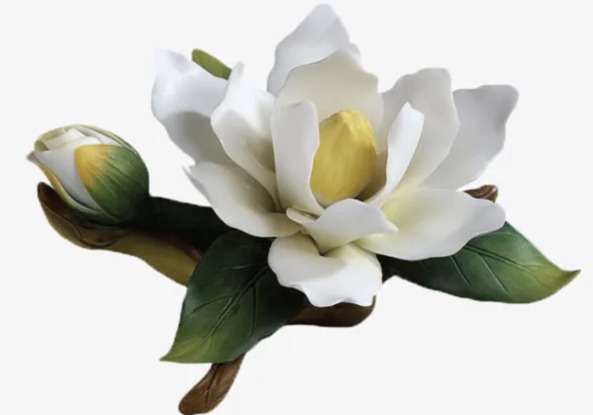 白色山茶花的花语是什么?