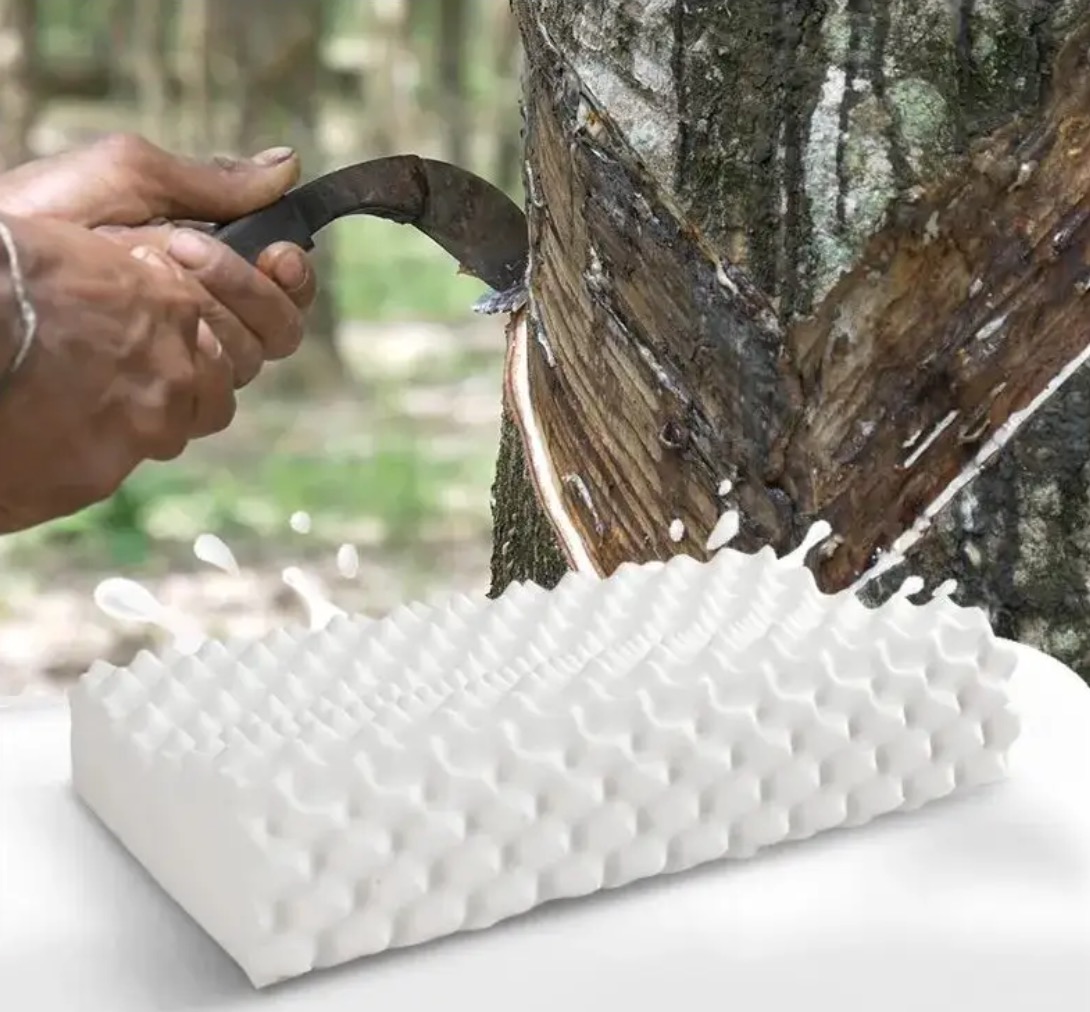 我们平时买的乳胶枕有甲醛和苯吗? 我们平时买的乳胶枕有甲醛和苯吗?