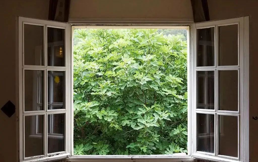 室内消毒杀菌用什么方法最好? 室内消毒杀菌用什么方法最好?