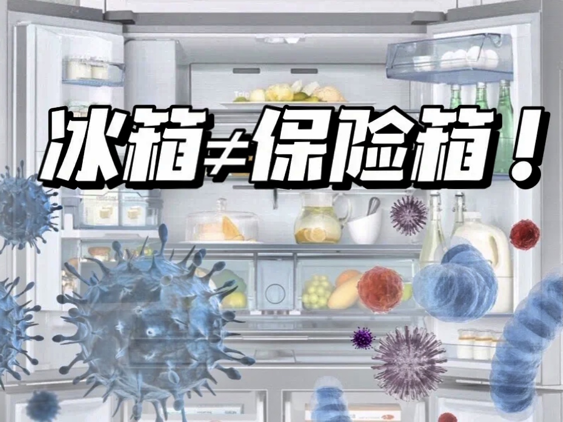 冰箱长期不清洁会有这些后果,切记! 冰箱长期不清洁会有这些后果,切记!