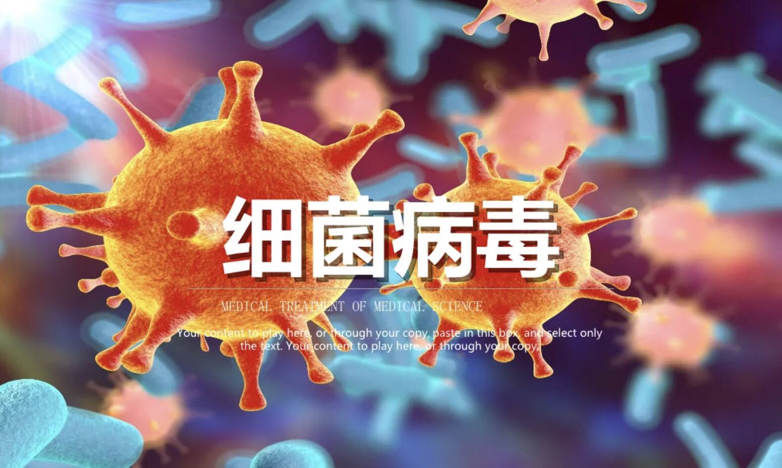 病毒与细菌