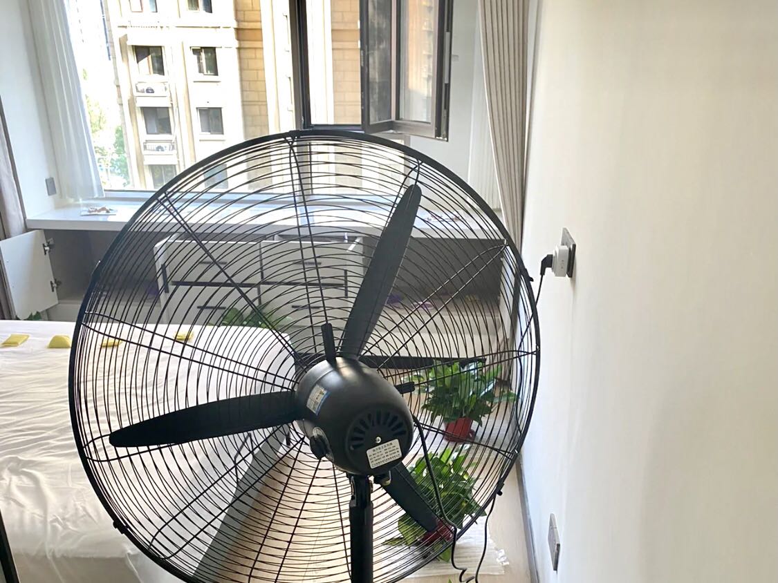 除甲醛最有效的方法集锦