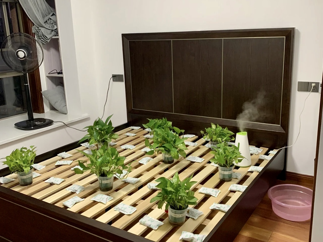 绿植、炭包对甲醛的治理有限
