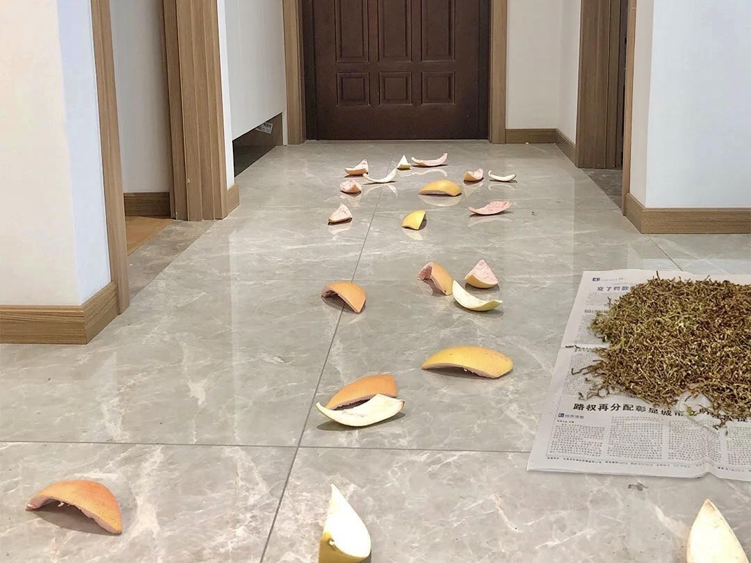 这些东西无法去除甲醛！