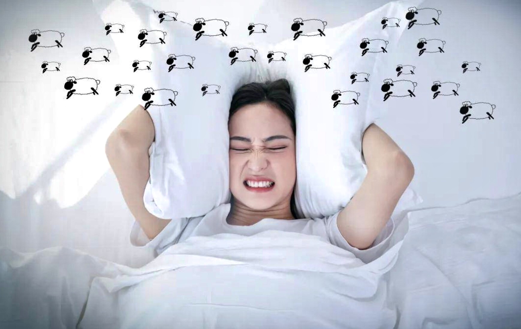 20230414168147421471.jpeg WechatIMG2236.jpeg